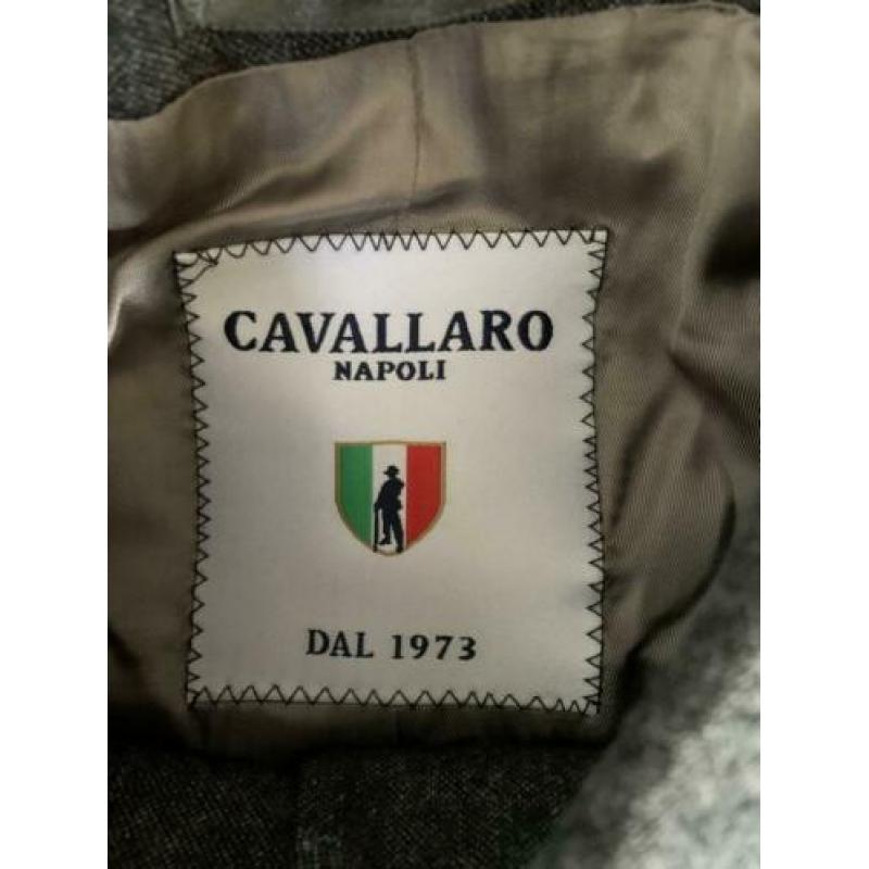 Cavallaro maat 42