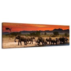 Diverse Canvas Panorama's - slechts EUR 49!