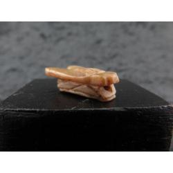 Egyptian crystal fly amulet