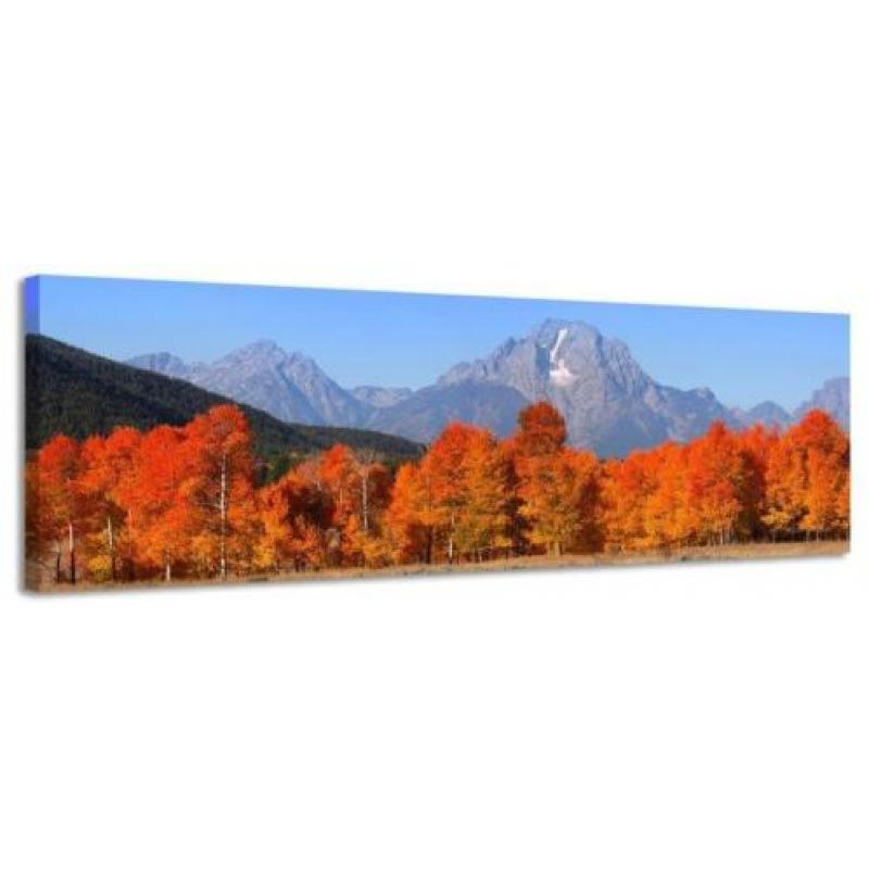 Diverse Canvas Panorama's - slechts EUR 49!