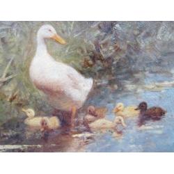 ===eendenfamilie bij water= ==Constant Artz 1870-1951====