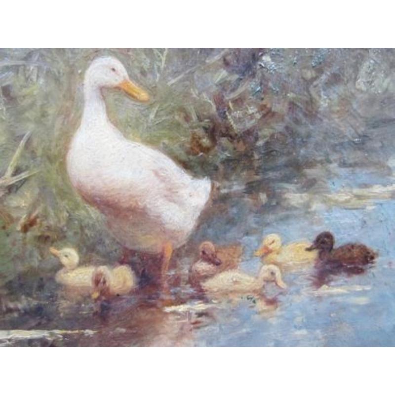 ===eendenfamilie bij water= ==Constant Artz 1870-1951====