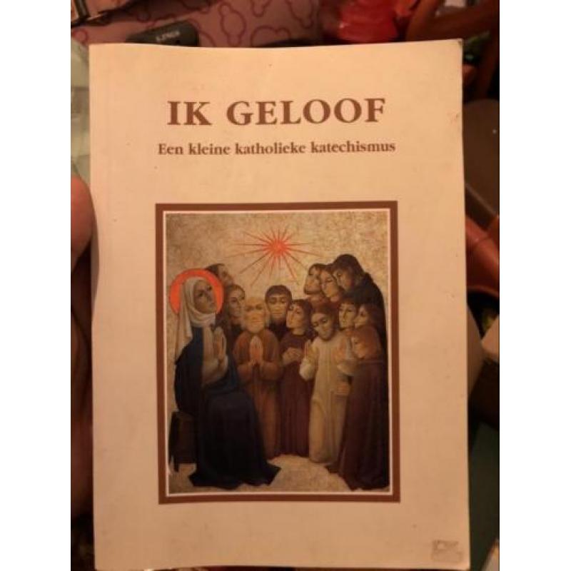 Bijbels en boeken