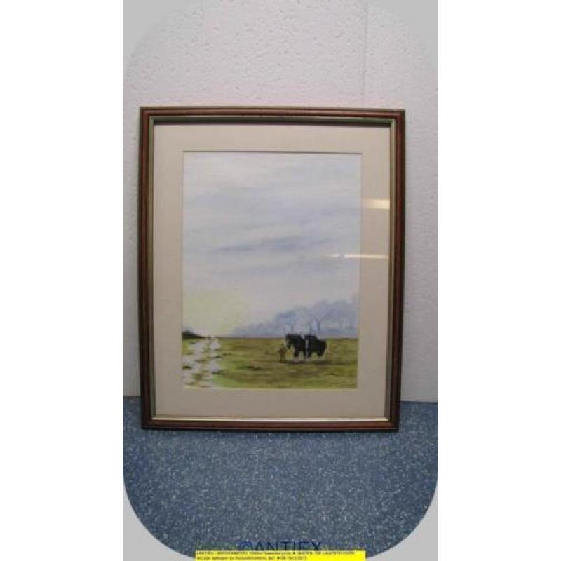 9692 - aquarel paarden - William James - € 35