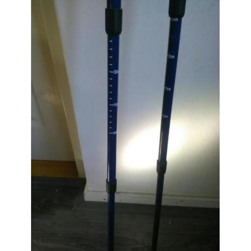 Nordic walking poles/stokken antischok verstelbaar